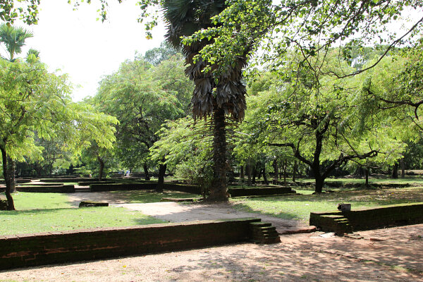 Monastic Ruins