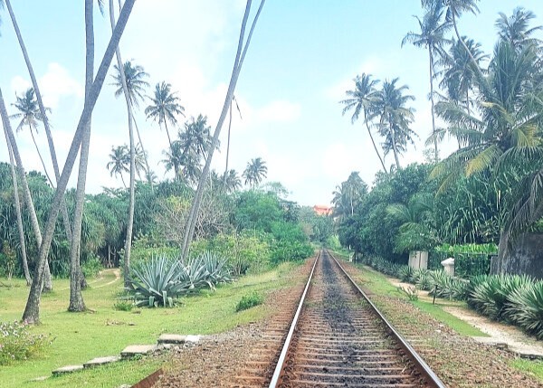Train Tracks