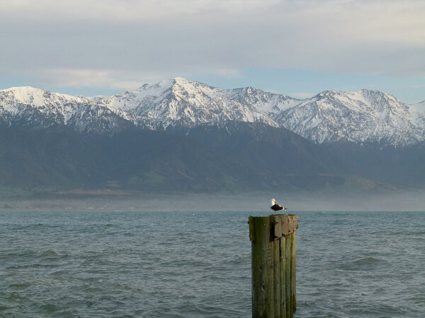 Kaikōura Coast