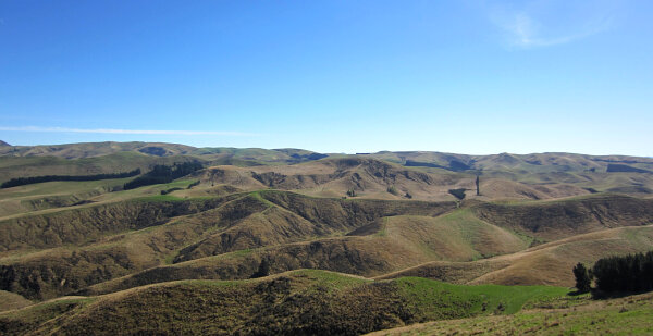 Cheviot Hills