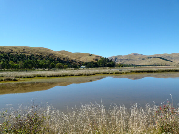 Lake Ellesmere