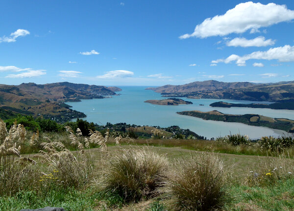 Lyttelton Harbour View