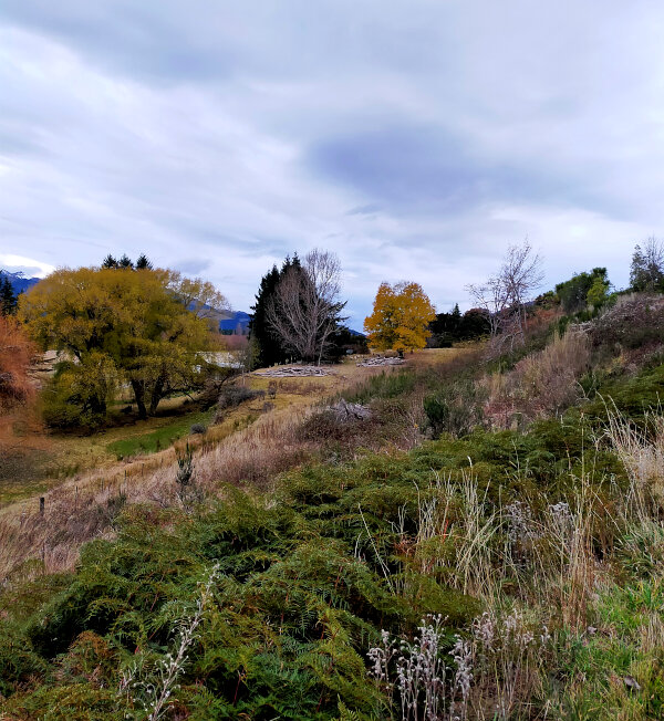 Hanmer Springs Autumn Landscape