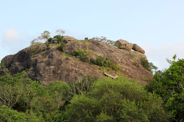 Granite Outcrop