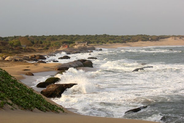 Wild Southern Coast