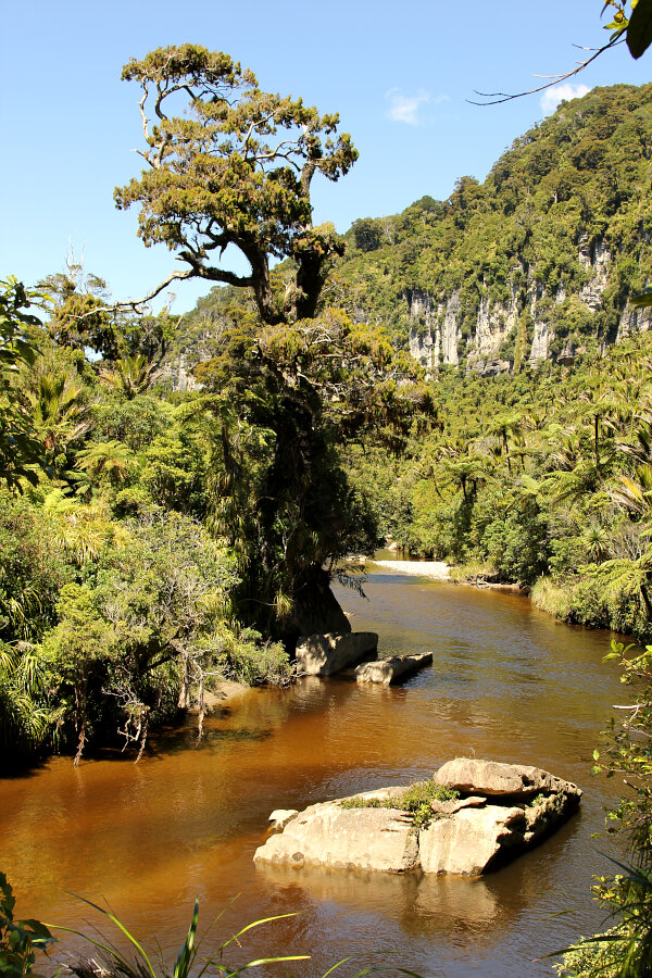 West Coast River