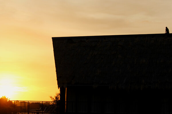 Sunset Silhouette