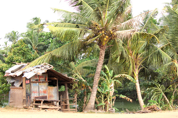 Shelter Hut