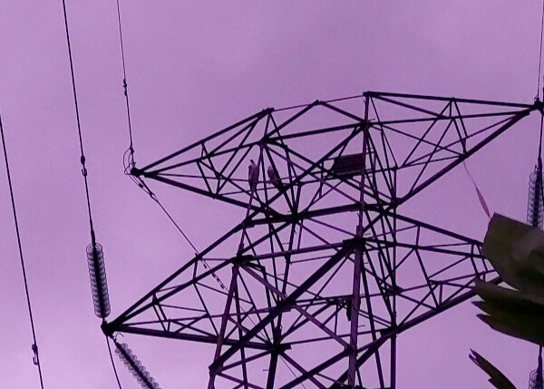 High power pylon with two Grey-Headed Fish Eagles