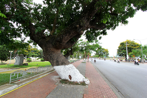 Le Duan Road